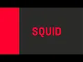 SQUID Log