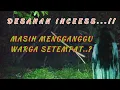 Lagu Live Misteri Desahan kuntilanak asli
