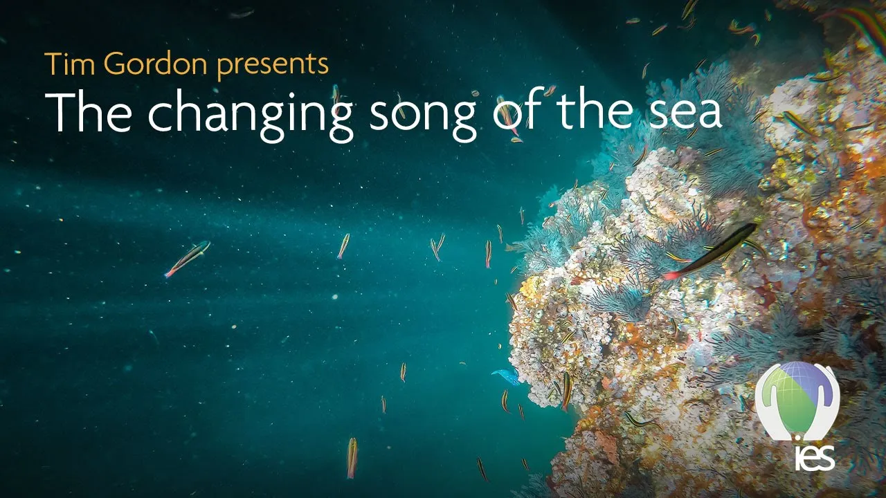 IES Webinar: The Changing Song of the Sea