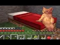 Memes for a good night s sleep