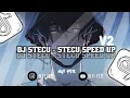 Download Lagu DJ STECU - STECU SPEED UP | ALFI YETE