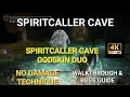 Spiritcaller cave walkthrough - Spiritcaller cave Godskin Duo defeat technique