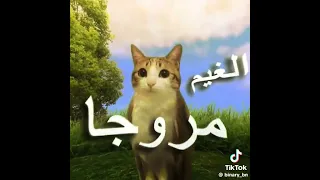 عجبني التصمين اسم حساب صاحب الفيديو على تيك توك Binary Bn 