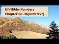 NUMBERS 20-36 NIV Bible with text
