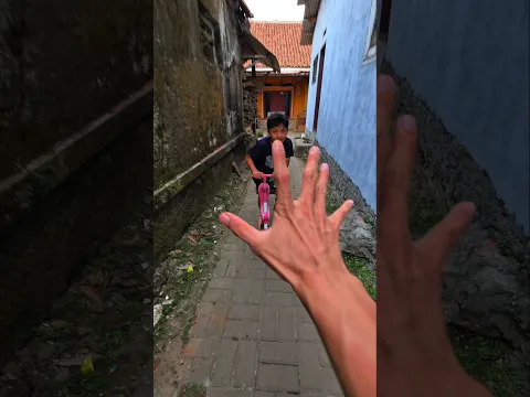 kelelawar