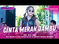 Download Lagu CINTA MERAH JAMBU - DIVA HANI || NEW ASTINA LIVE DIESNATALIES 14 SMEKTA AMERTA NGANJUK || PM AUDIO