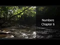 The Book of Numbers Chapter 6 - New King James Version NKJV