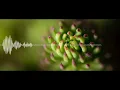 Download Lagu Meeka - Steve Adams #travelmusic #nocopyright