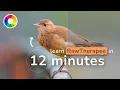 RawTherapee in JUST 12 Minutes Complete Tutorial