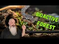 Bioactive Enclosure Setup For ANY Small Snake - This One Is A Rough-Scaled Python