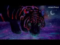 Download Lagu Coming Home Cadmium X Rival X Arc North Sub Español