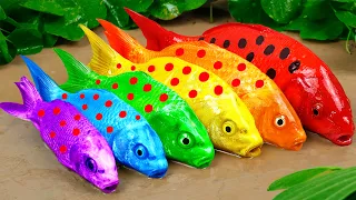 Best Of Small Fish Recipe | MINIATURE Fish Cooking Made EASY with Simple Recipe