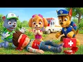 Lagu ¡Ay, no! ¿RYDER se enferma? ¡CHASE, por favor, ayúdalo! Paw Patrol en español | Arcoíris 3