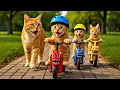 Download Lagu Mama Cat Trims Fur on the Farm and Makes Tiger Hat For Kittens At Home🐾🎩🐯