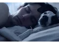 Dog Food Cory Michael Smith