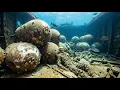Inside the Downed Secret Weapons Freighter — WWII Snow Bombs Preserved Underwater