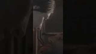لف الكون ماتلكه مثلي واحد يحبك   احمد المصلاوي دندنها