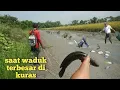 Download Lagu Cari ikan di waduk saat kuras air tanaman padi
