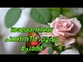 Download Lagu ശാരോനിലെ പനിനീർ പൂവു പോൽ | Sharonile panineer poov | Song | Paulson Kannur | Abhilash Mannar