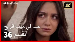 Arabic Dubbed حب في مهب الريح الحلقة 36 