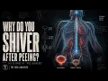 Why Do You Shiver After Peeing The Science Behind Pee Shivers