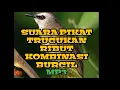 Download Lagu SUARA PIKAT TRUCUKAN RIBUT VS BURCIL MP3