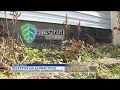 Man says pest treatment deal was too good to be true