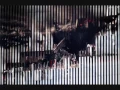 9-11-01 Remembered - Darryl Worley "Have You Forgotten?"