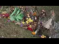 Court testimony shedding new light on killing of Powell girl as family uses name to create positive