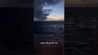 أريد الحب في قلب شريف 
