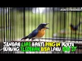Download Lagu TLEDEKAN LAKU 50 JUTA GAES !!