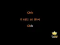 Sia - Bird Set Free (Karaoke Version)