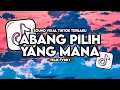 Download Lagu DJ ABANG PILIH YANG MANA STYLE MUMET VIRAL TIK TOK TERBARU 2025 [ Felik Fvnky ]