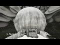 Lambert - Experience the 'Sweet Apocalypse'