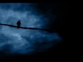 Download Lagu Claire Littley - Fly me to the moon
