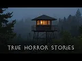 Download Lagu 3 Disturbing True Alone in the Woods Horror Stories