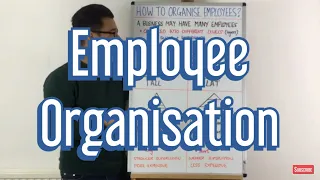 Mastering Organizational Structures and Employee Motivation