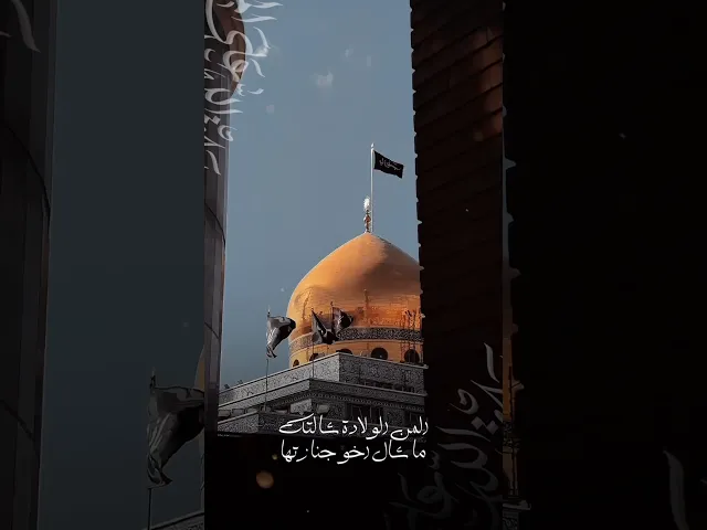 ⁣ملاقحطان البديري يلقي الشعر بطريقة جارحة للقلب💔المن الولادة شالتك ماشال اخو جنازتها💔استشهادالحوراء ع