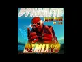 Sean Paul - Dynamite (feat. Sia) [Nelsaan Remix]