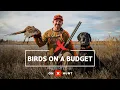 Birds on a Budget Pinching Pennies While Chasing Roosters in South Dakota
