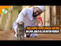 Download Lagu 5 Janji Allah Bagi Yang Suka Memelihara Kucing