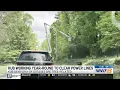 Tree trimming is key to keeping the lights on KUB says