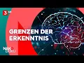 Download Lagu Wie Forschung unser Weltbild sprengt | [Ganze Doku]