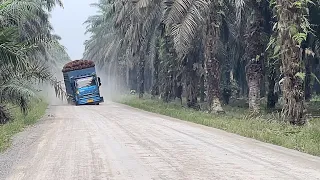 Ugal ugalan..!! Di olengin gk karuan