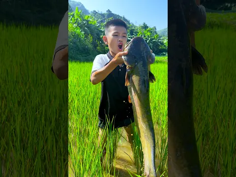 Grilled big fish #shorts #tiktok #foryou #fyp #xuhuong #langlieu