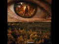 NASIL UNUTURUM?