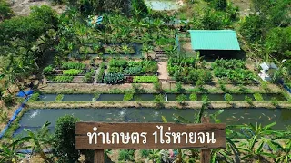 โมเดลเกษตรผสมผสาน 1ไร่หายจน👨‍🌾จะหายจนได้ยังไงไปดูกัน ??