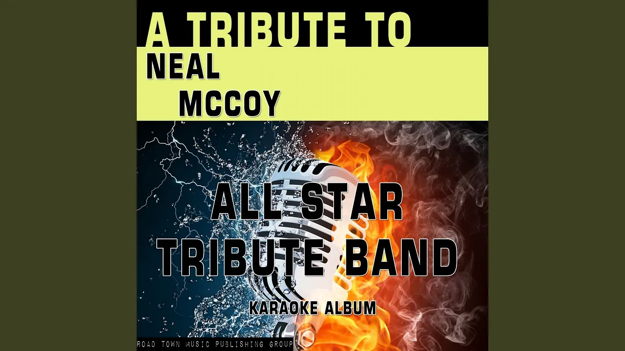 Wink (Karaoke Version) (Originally Performed By Neal McCoy) Wink (Karaoke Version) (Originally Performed By Neal McCoy)