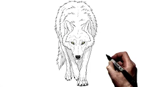 How To Draw A Wolf | Step By Step | Animal Art