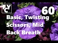 Basic Mid Back Breath Twisted Scissors FORREST YOGA CHICAGO 60 min